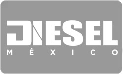 diseño web tepa tienda en linea tepa diseño web guadalajara mexico diseño de logotipos diesel mexico